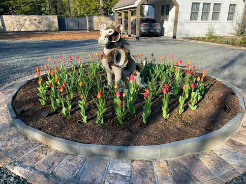 Garnich | Hardscaping Services in New Jersey