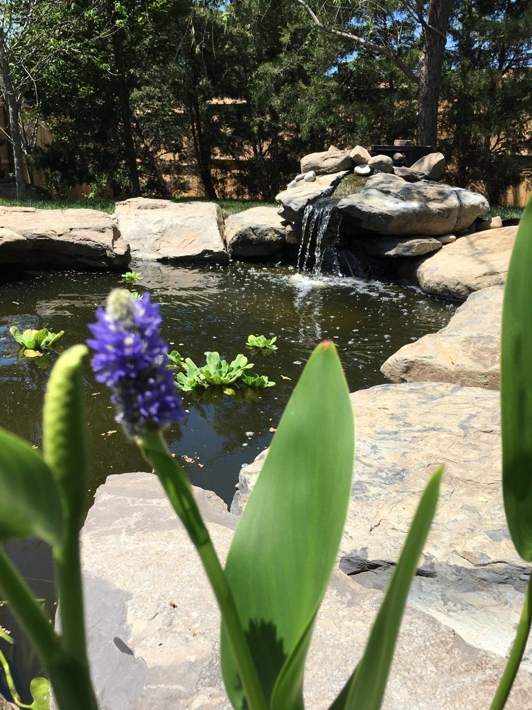 Garnich | Water Features in New Jersey