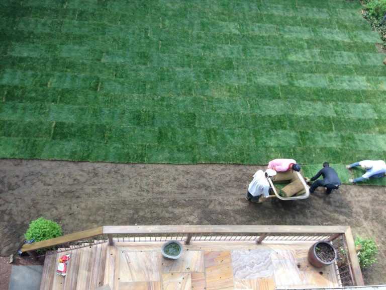 Garnich | Lawn Maintenance in New Jersey