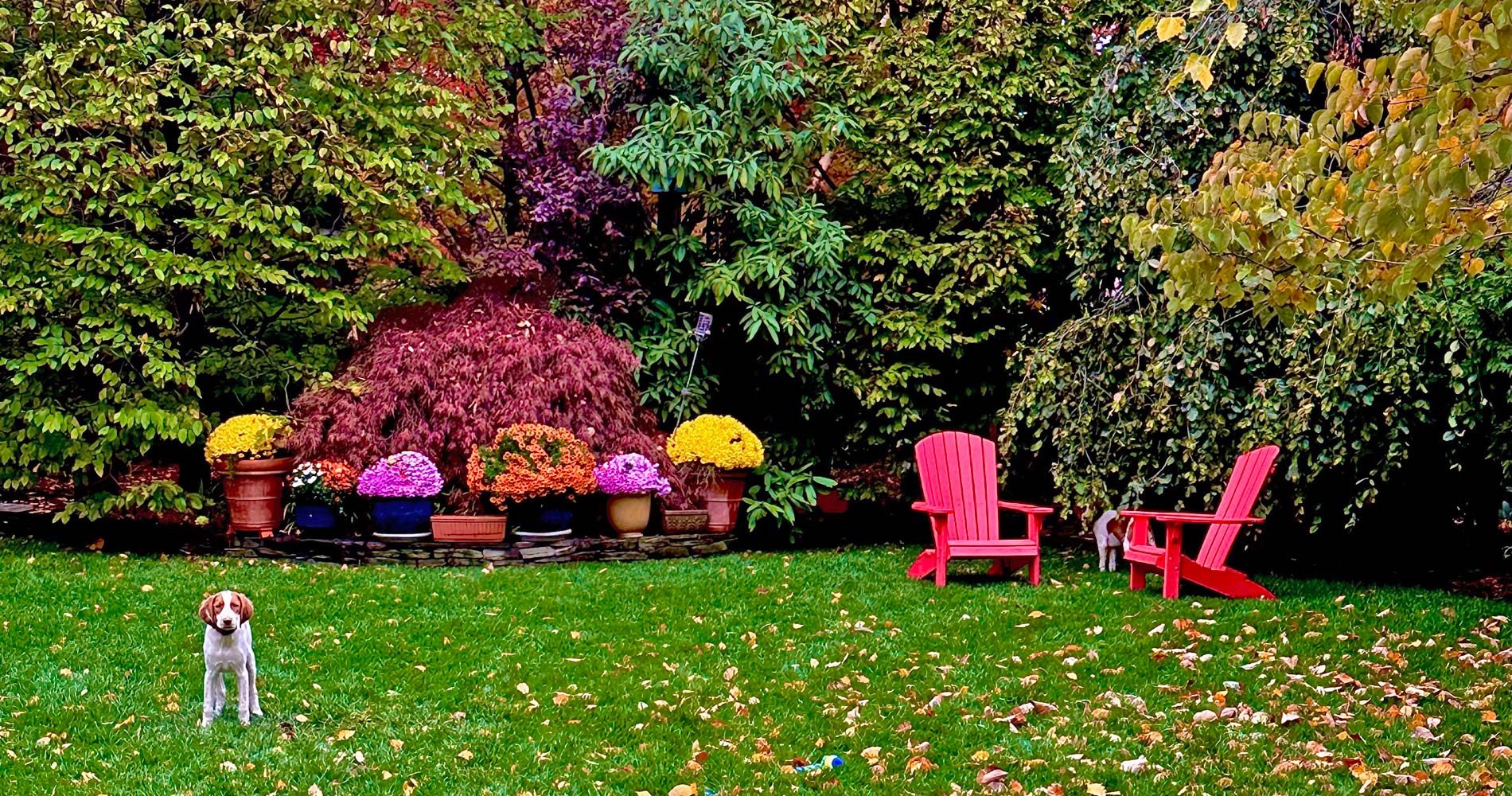 Garnich | Landscape Design in New Jersey
